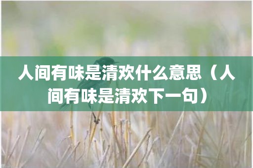 人间有味是清欢什么意思（人间有味是清欢下一句）