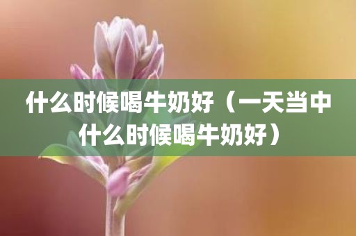 什么时候喝牛奶好（一天当中什么时候喝牛奶好）