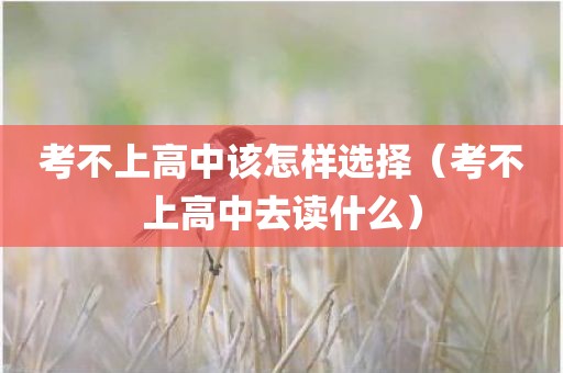 考不上高中该怎样选择（考不上高中去读什么）