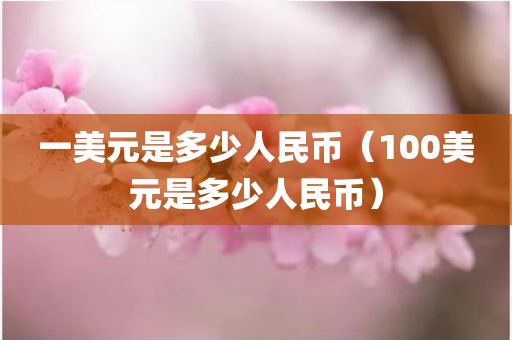 一美元是多少人民币（100美元是多少人民币）