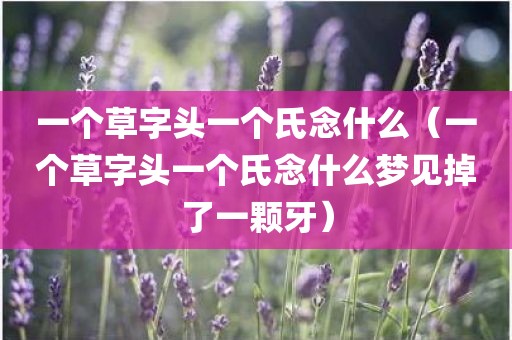 一个草字头一个氏念什么（一个草字头一个氏念什么梦见掉了一颗牙）