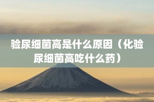 验尿细菌高是什么原因（化验尿细菌高吃什么药）