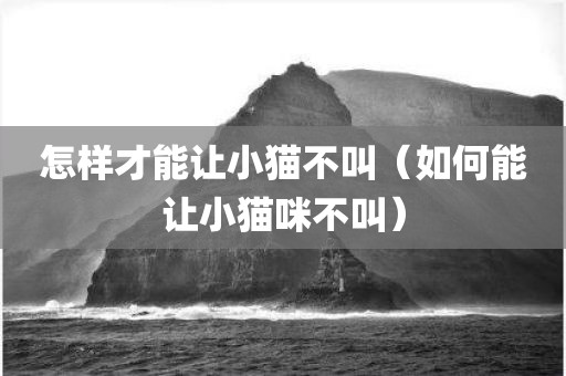 怎样才能让小猫不叫（如何能让小猫咪不叫）