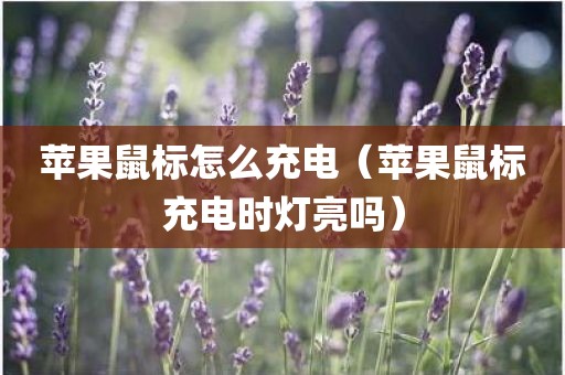 苹果鼠标怎么充电(苹果鼠标充电时灯亮吗) 苹果鼠标怎么充电(苹果鼠标充电时灯亮吗)