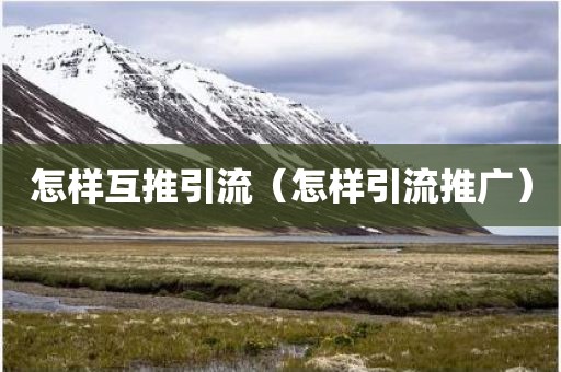 怎样互推引流（怎样引流推广）