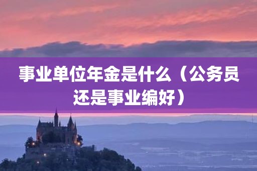事业单位年金是什么（公务员还是事业编好）