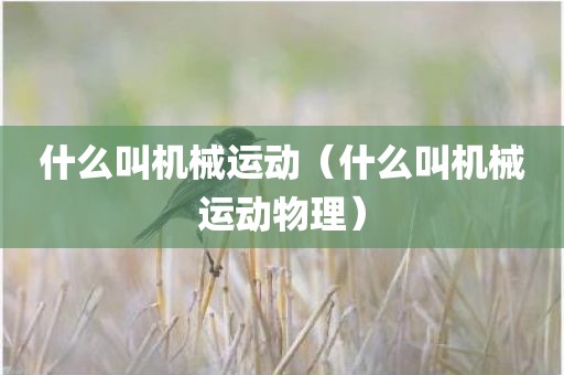 什么叫机械运动（什么叫机械运动物理）