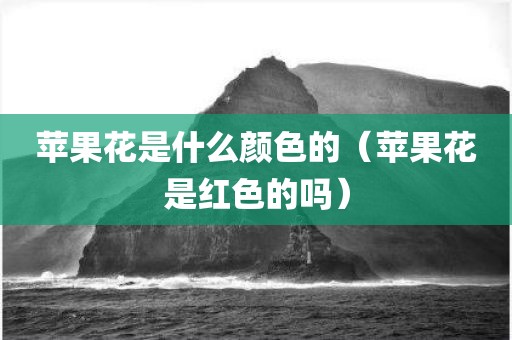 苹果花是什么颜色的（苹果花是红色的吗）