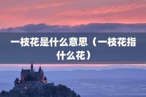 一枝花是什么意思（一枝花指什么花）