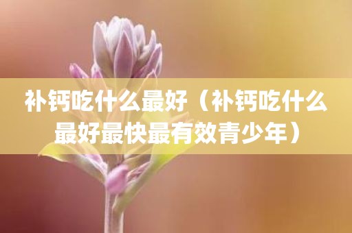 补钙吃什么最好（补钙吃什么最好最快最有效青少年）
