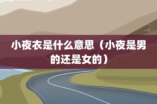小夜衣是什么意思（小夜是男的还是女的）