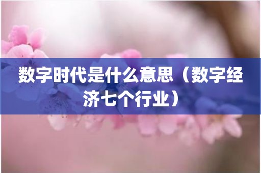 数字时代是什么意思（数字经济七个行业）