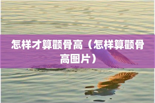 怎样才算颧骨高（怎样算颧骨高图片）