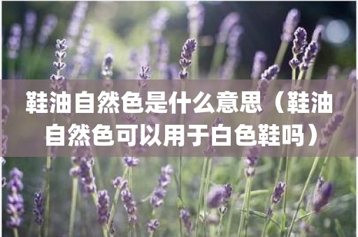 鞋油自然色是什么意思(鞋油自然色可以用于白色鞋吗)
