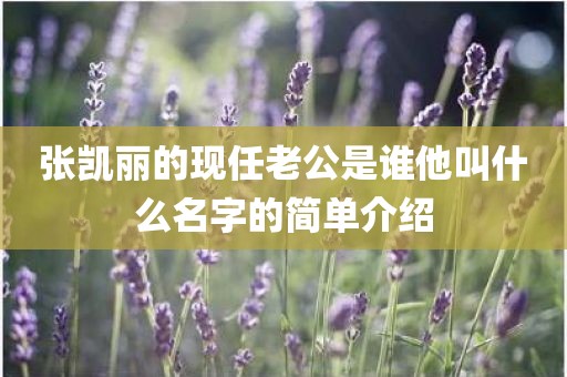 张凯丽的现任老公是谁他叫什么名字的简单介绍