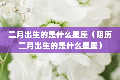 二月出生的是什么星座（阴历二月出生的是什么星座）