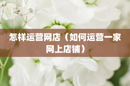 怎样运营网店（如何运营一家网上店铺）