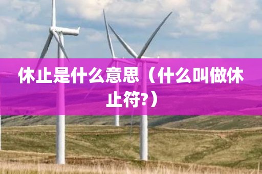 休止是什么意思（什么叫做休止符?）