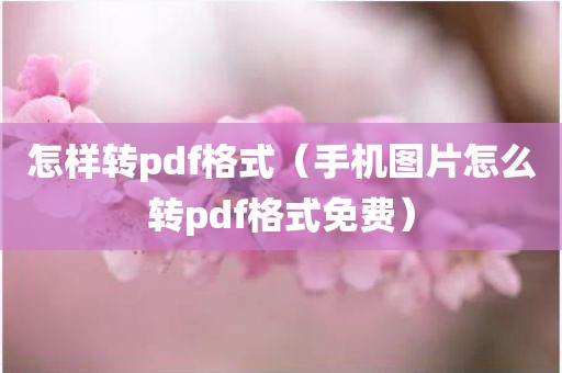 怎样转pdf格式（手机图片怎么转pdf格式免费）
