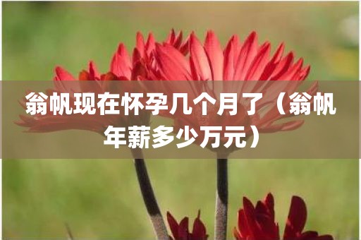 翁帆现在怀孕几个月了（翁帆年薪多少万元）