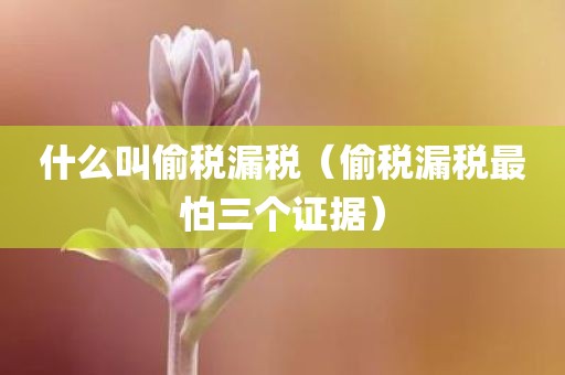 什么叫偷税漏税(偷税漏税最怕三个证据)