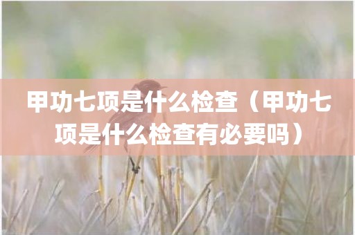 甲功七项是什么检查（甲功七项是什么检查有必要吗）