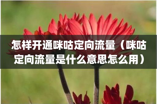 怎样开通咪咕定向流量（咪咕定向流量是什么意思怎么用）