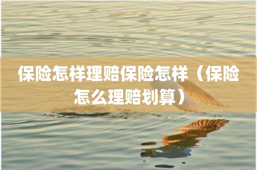 保险怎样理赔保险怎样（保险怎么理赔划算）