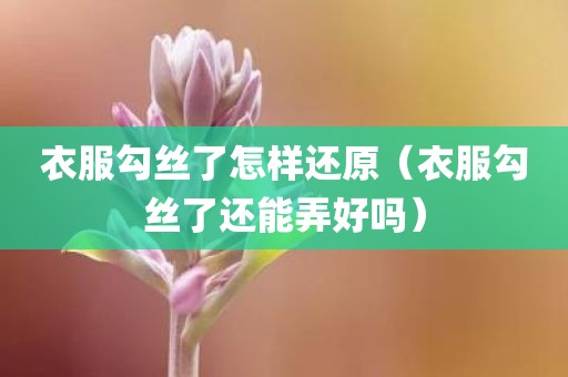 衣服勾丝了怎样还原（衣服勾丝了还能弄好吗）