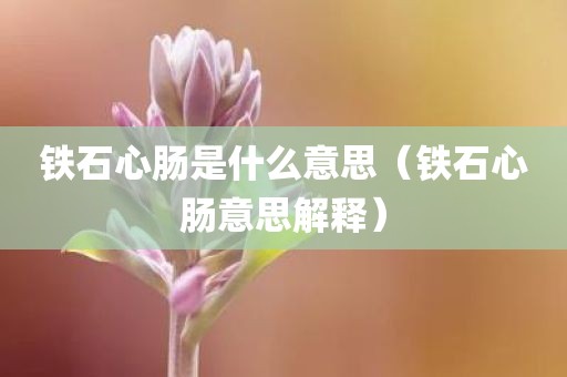 铁石心肠是什么意思（铁石心肠意思解释）
