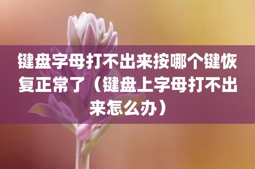 键盘字母打不出来按哪个键恢复正常了（键盘上字母打不出来怎么办）