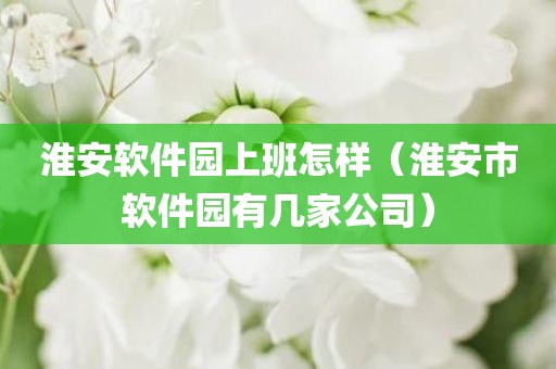 淮安软件园上班怎样（淮安市软件园有几家公司）