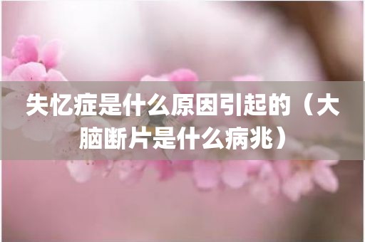 失忆症是什么原因引起的（大脑断片是什么病兆）