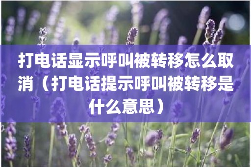 打电话显示呼叫被转移怎么取消（打电话提示呼叫被转移是什么意思）
