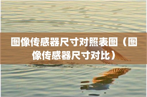 图像传感器尺寸对照表图（图像传感器尺寸对比）