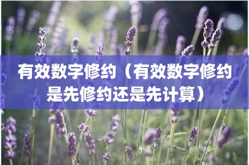 有效数字修约（有效数字修约是先修约还是先计算）