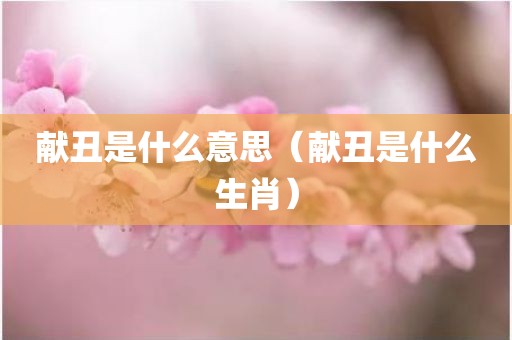 献丑是什么意思（献丑是什么生肖）