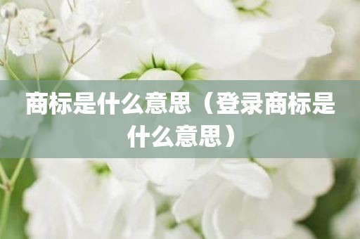 商标是什么意思（登录商标是什么意思）