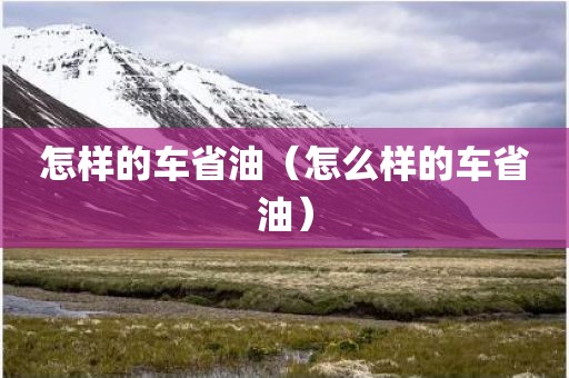 怎样的车省油（怎么样的车省油）