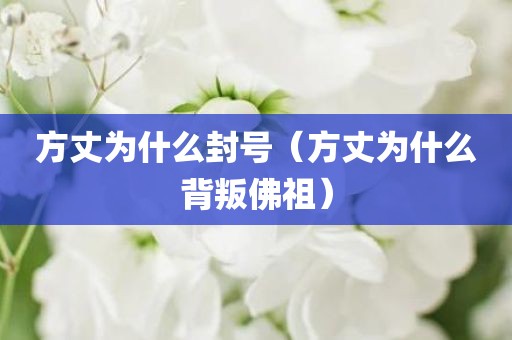 方丈为什么封号(方丈为什么背叛佛祖)