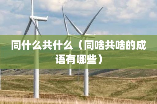 同什么共什么(同啥共啥的成语有哪些)