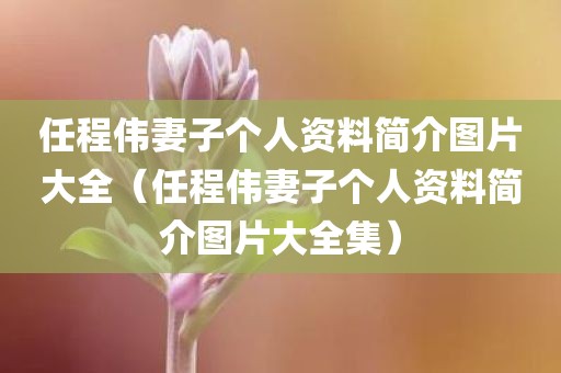 任程伟妻子个人资料简介图片大全（任程伟妻子个人资料简介图片大全集）