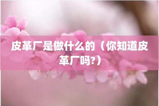 皮革厂是做什么的（你知道皮革厂吗?）