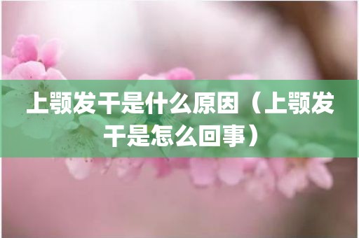 上颚发干是什么原因（上颚发干是怎么回事）