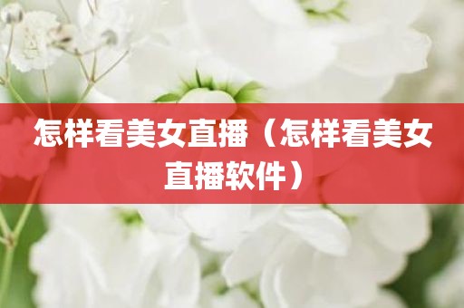 怎样看美女直播（怎样看美女直播软件）