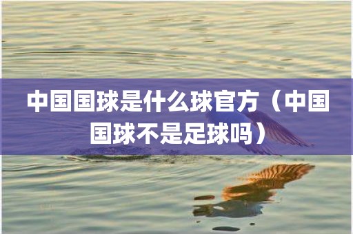 中国国球是什么球官方（中国国球不是足球吗）