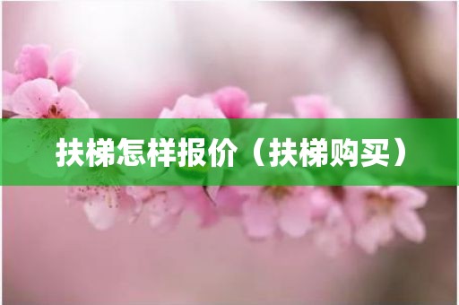 扶梯怎样报价（扶梯购买）