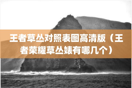 王者草丛对照表图高清版（王者荣耀草丛婊有哪几个）