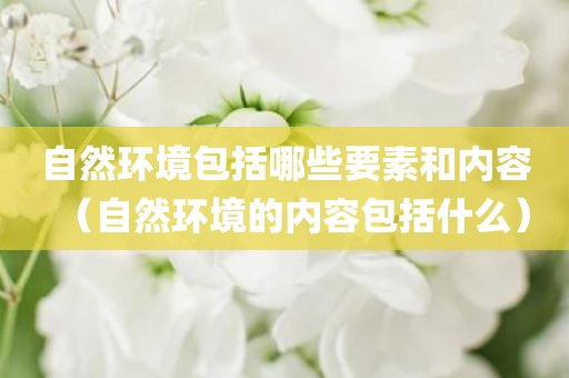 自然环境包括哪些要素和内容（自然环境的内容包括什么）