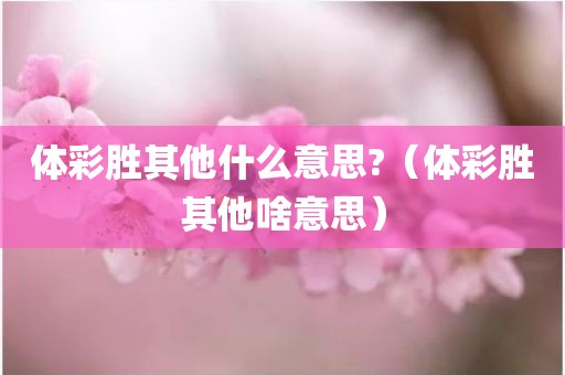 体彩胜其他什么意思?（体彩胜其他啥意思）